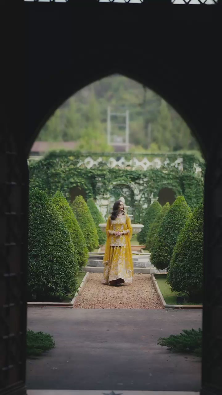 Aureila